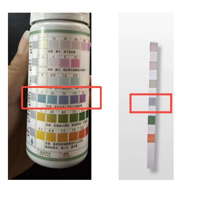 ph